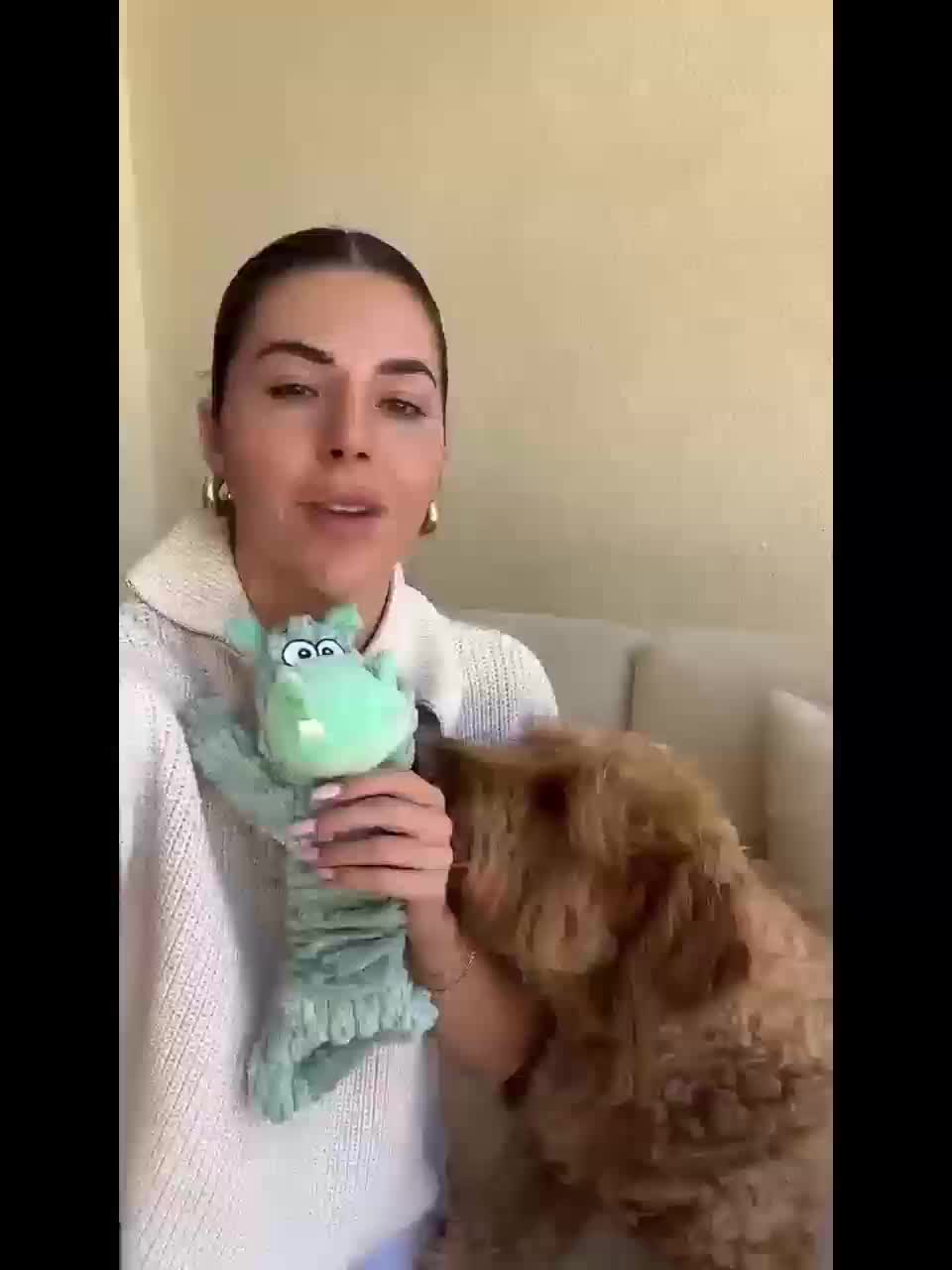 Plush Tug Dog Toy with Crinkle Paper and Squeaker, Soft Rope-Body Animal Toy for Supervised Gentle Play, Bear, Dinosaur, Monkey or Hippo Styles