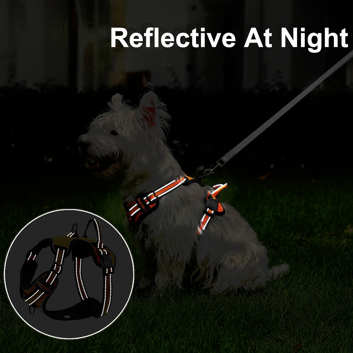 Front Clip No-Pull Dog Harness with Reflective Control Handle, Adjustable Walking Gear for Small, Medium and Large Dogs, S to XL Color Options