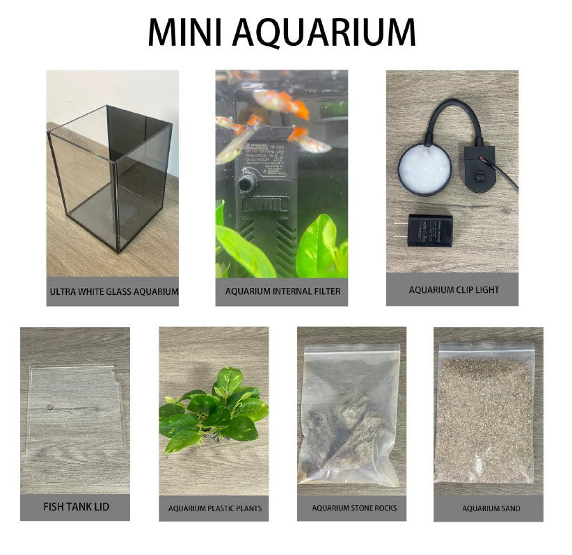 Mini Aquarium Kit 1.19 Gallon, Ultra-Clear Glass Desktop Tank with 2W Submersible Pump, 3W COB Light, Sand, Stones and Decorative Plants