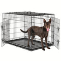 Folding Dog Crate 36 Inch with Divider and Removable Tray, Reinforced Metal Portable Pet Kennel for Indoor Use and Supervised Outdoor Setup
