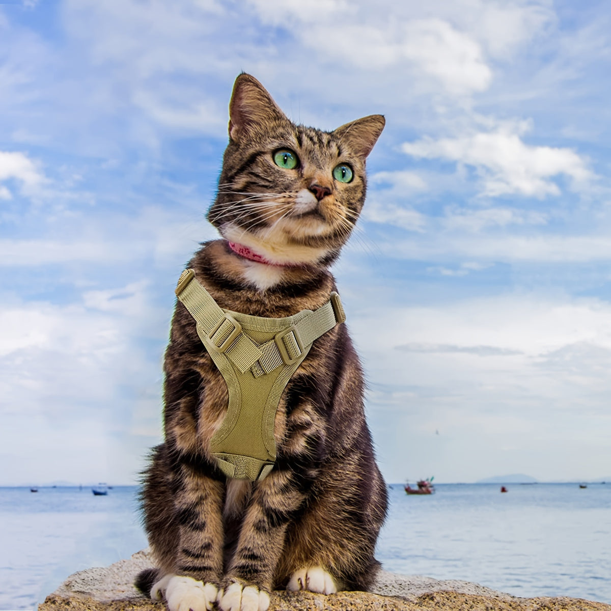 Tactical Cat Harness with Adjustable Chest Straps, 600D Pet Vest for Cats and Puppies, One-Size Training Gear in Six Color Options