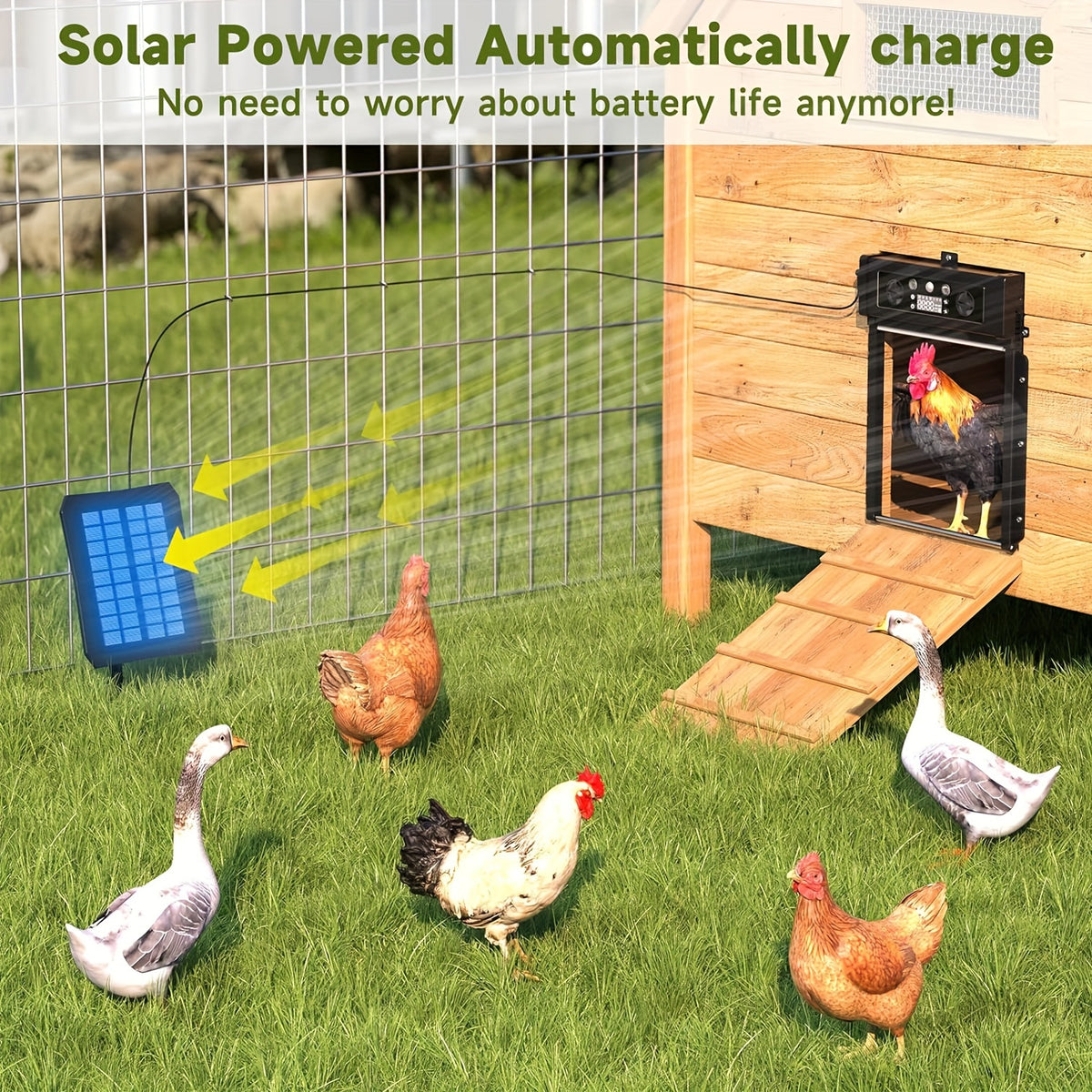 Solar Automatic Chicken Coop Door KA-200 with Timer and Light Sensor, Aluminum Alloy Poultry Door with Remote Control and 4000mAh Battery