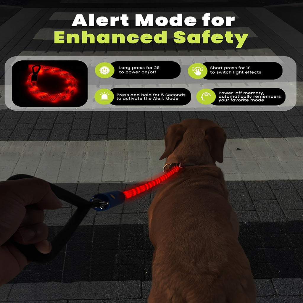 LED Dog Leash 4ft with 13 Lighting Modes, Type-C Rechargeable Light Up Walking Lead with Padded Handle and Swivel Hook for Evening Outings