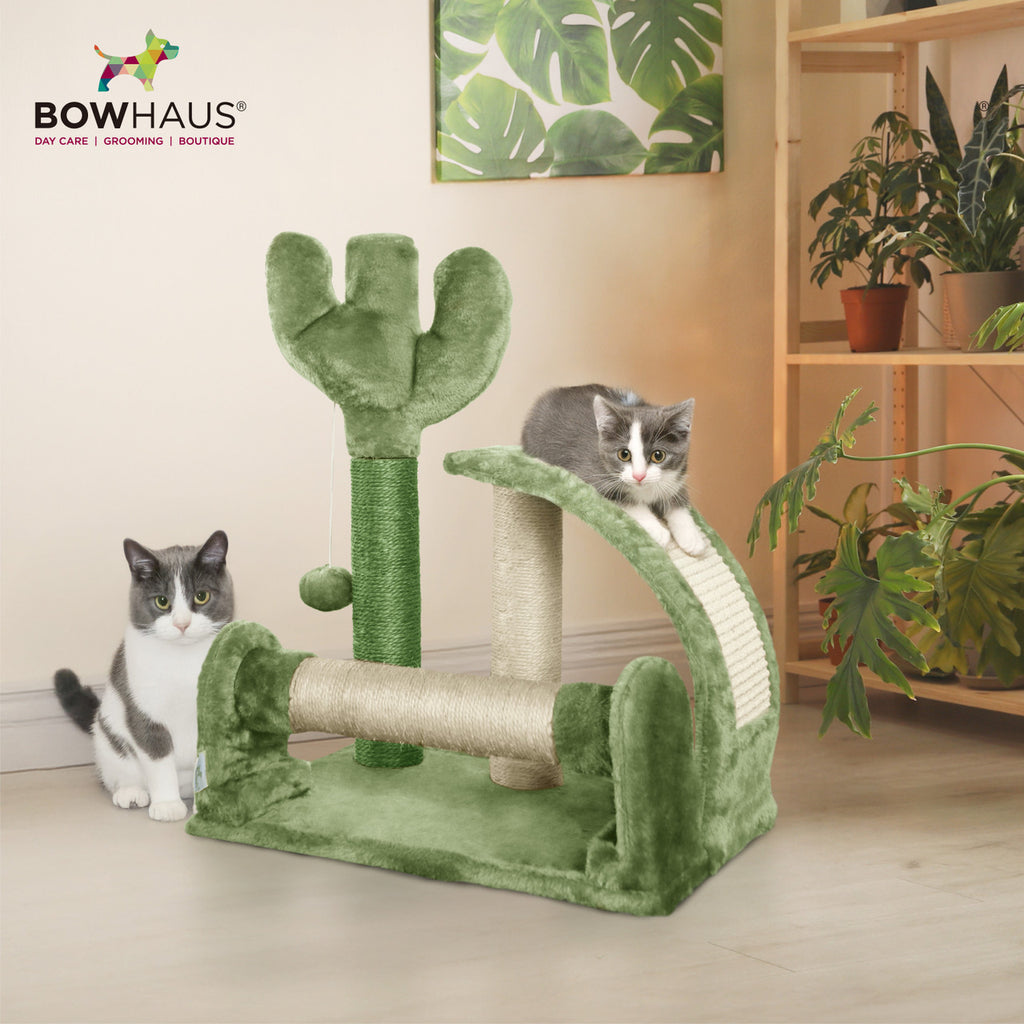 Small Cactus Cat Tree for Kittens, Green 20-Inch Indoor Cat Tower with Three Sisal Scratching Posts, Arched Pad and Interactive Ball