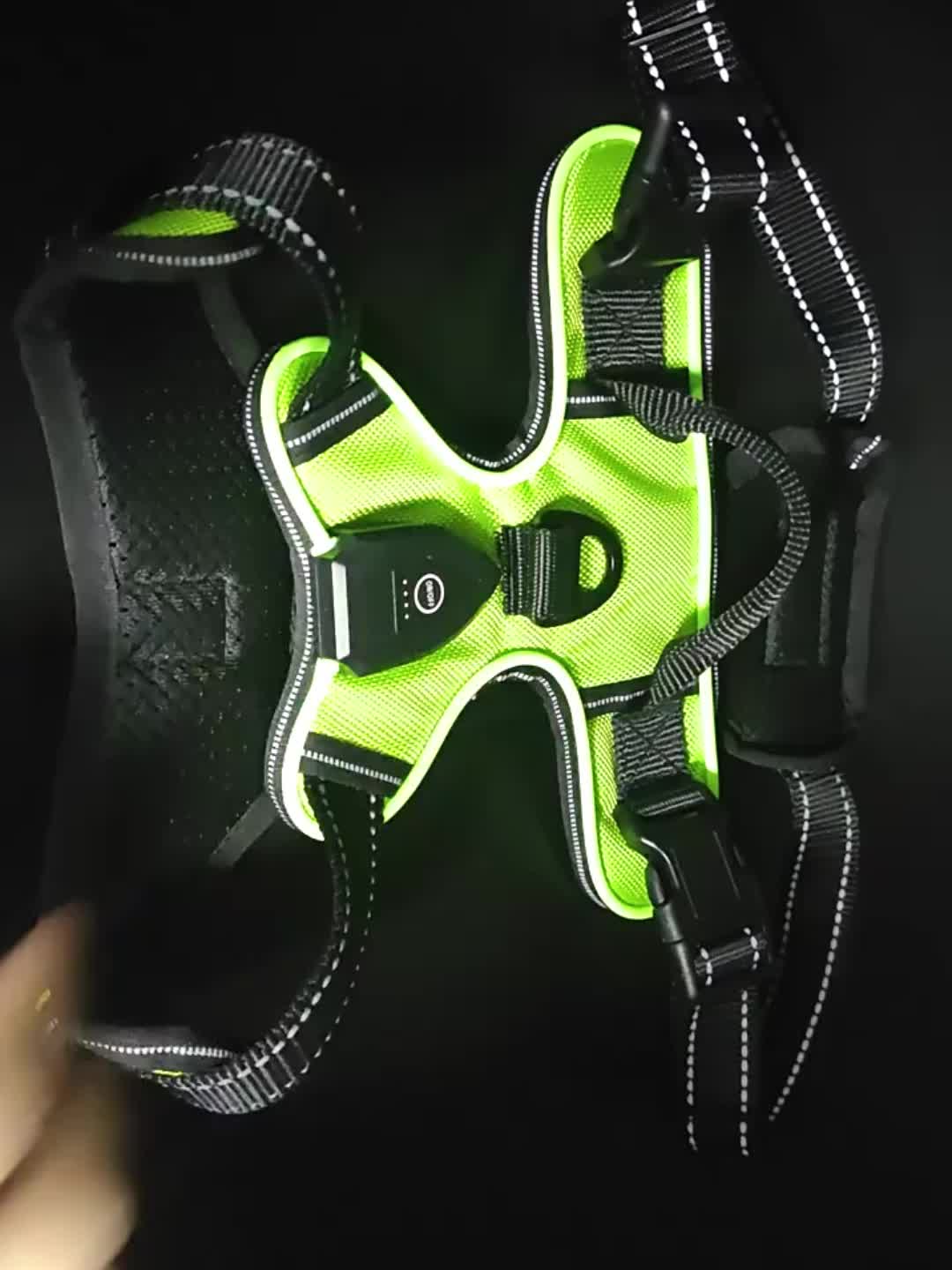 Light Up Dog Harness, Rechargeable LED Night Walking Vest with 3 Lighting Modes, Reflective Strips, Padded Mesh and Adjustable Straps, M L XL