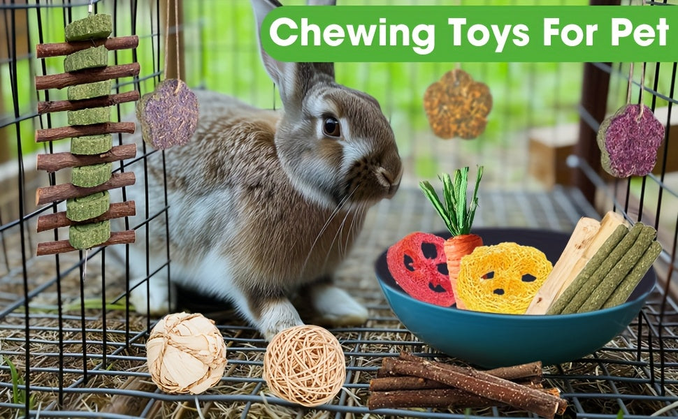Timothy Hay Treats Variety Pack for Rabbits, Guinea Pigs and Hamsters, 21 Assorted Hay Sticks and Cakes with Carrot and Strawberry Styles