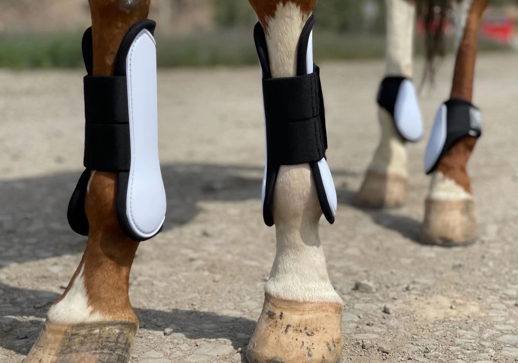Horse Tendon Boots Set of 4, Open Front and Fetlock Leg Guards in PU and Neoprene for Riding, Jumping and Training, FULL and COB Size Options