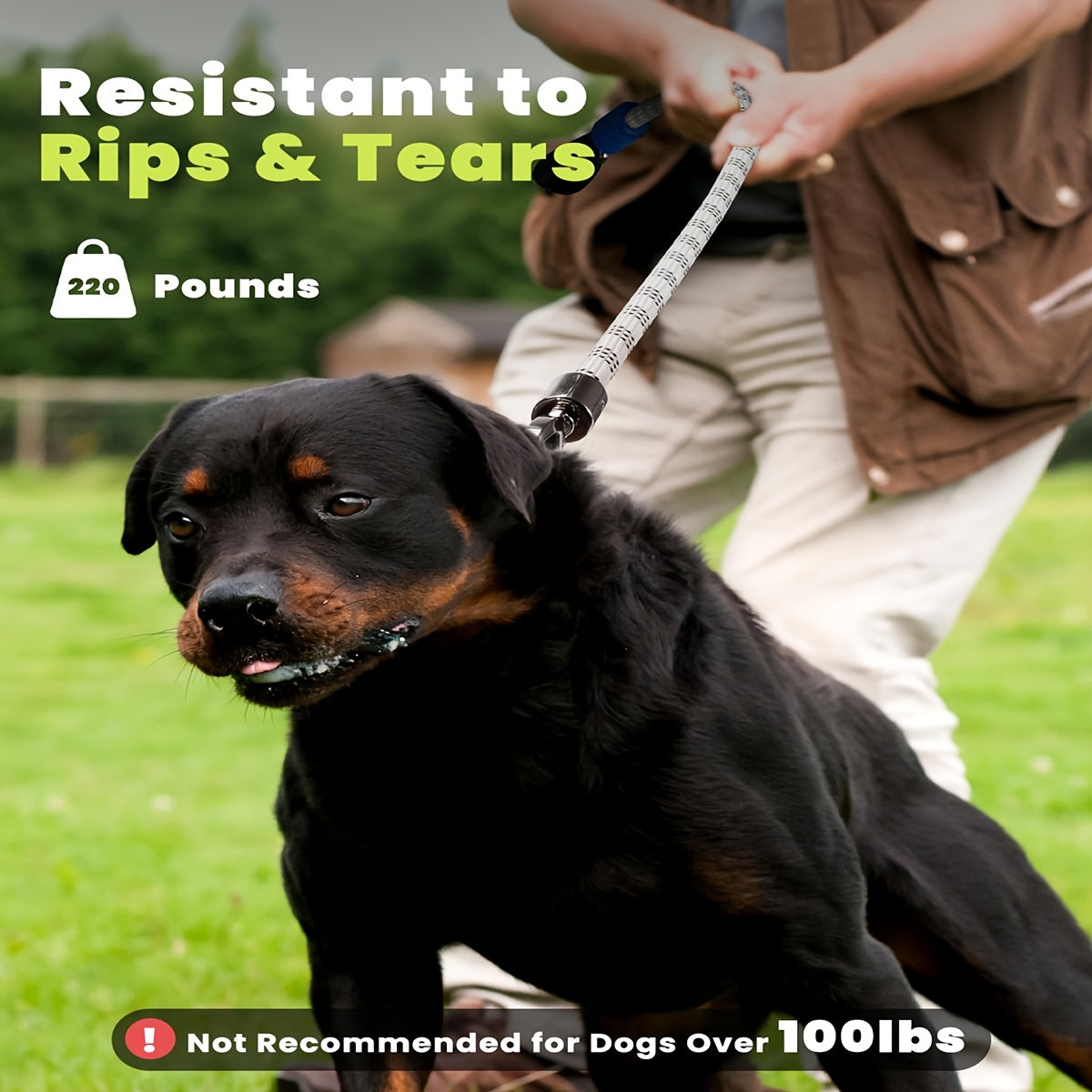 LED Dog Leash 4ft with 13 Lighting Modes, Type-C Rechargeable Light Up Walking Lead with Padded Handle and Swivel Hook for Evening Outings