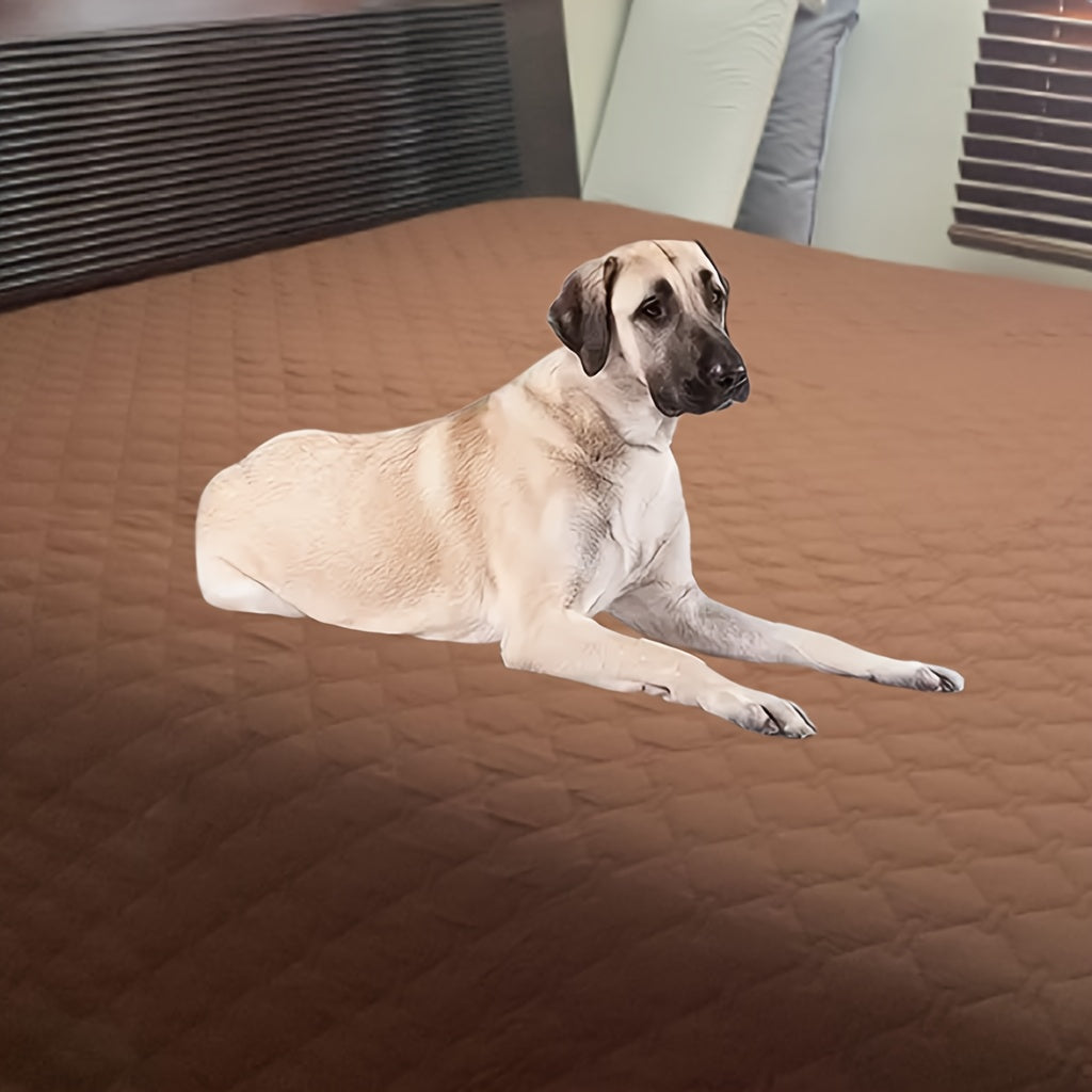 Dog Blanket with Bone Pattern and TPU Inner Membrane, Reversible Machine Washable Pet Couch and Bed Cover in Grey or Coffee, Seven Sizes