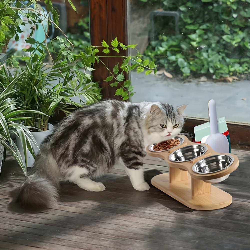 Elevated Cat Bowl Set with Spoon Option, Stainless Steel Food and Water Bowls on Stand for Cats, Kittens, Puppies and Small Pets at Home