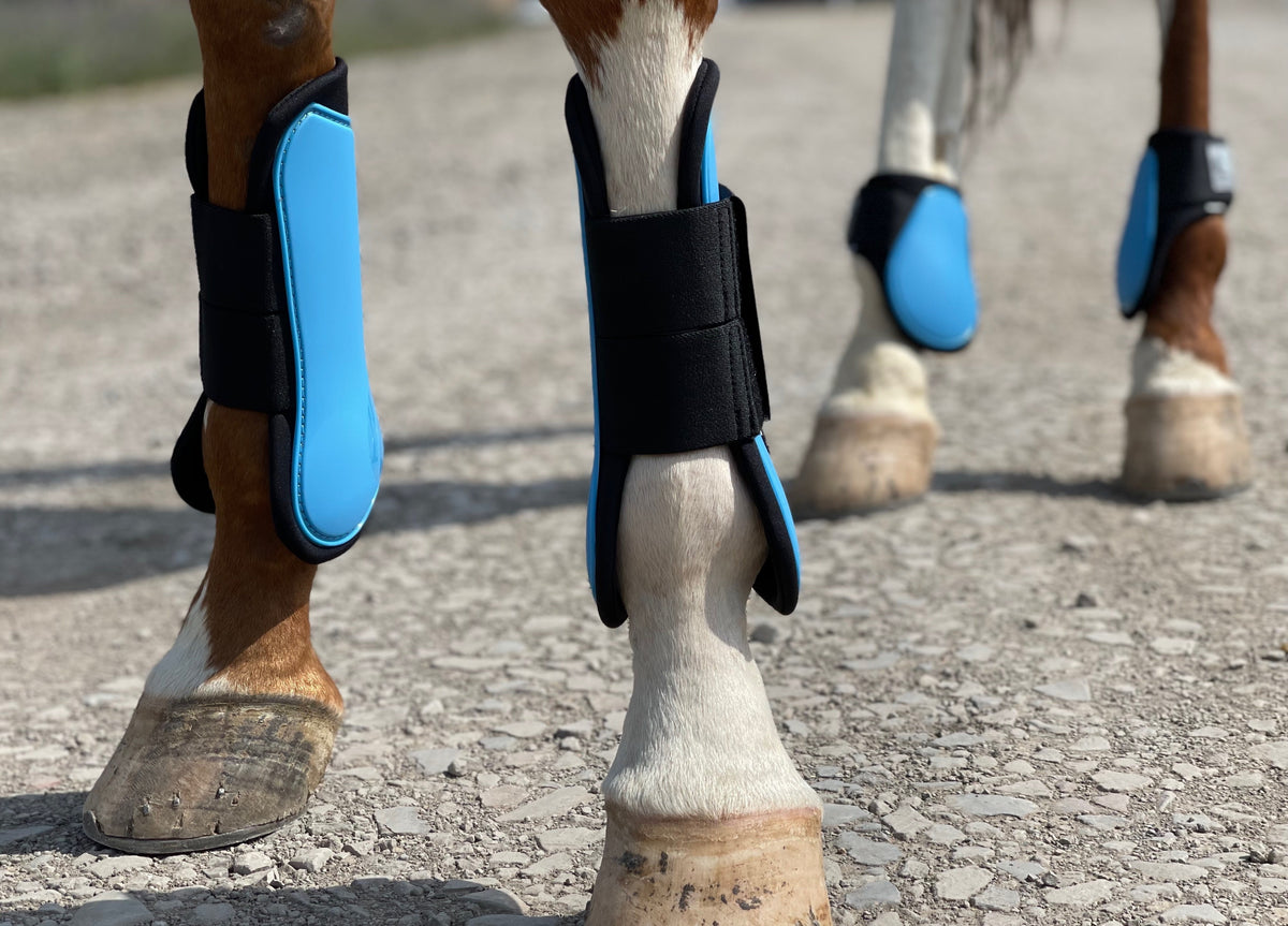 Horse Tendon Boots Set of 4, Open Front and Fetlock Leg Guards in PU and Neoprene for Riding, Jumping and Training, FULL and COB Size Options