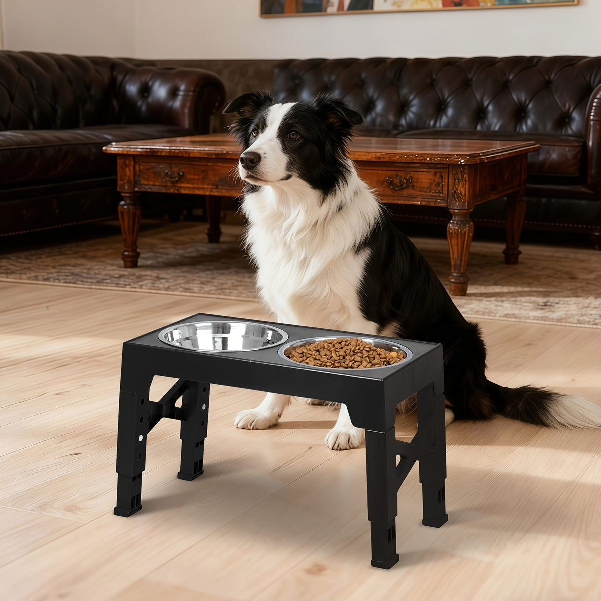 Five-Height Elevated Dog Bowls with 2 Stainless Steel Dishes, Foldable Raised Food and Water Stand from 3.15 to 12.2 Inches in Black or Gray