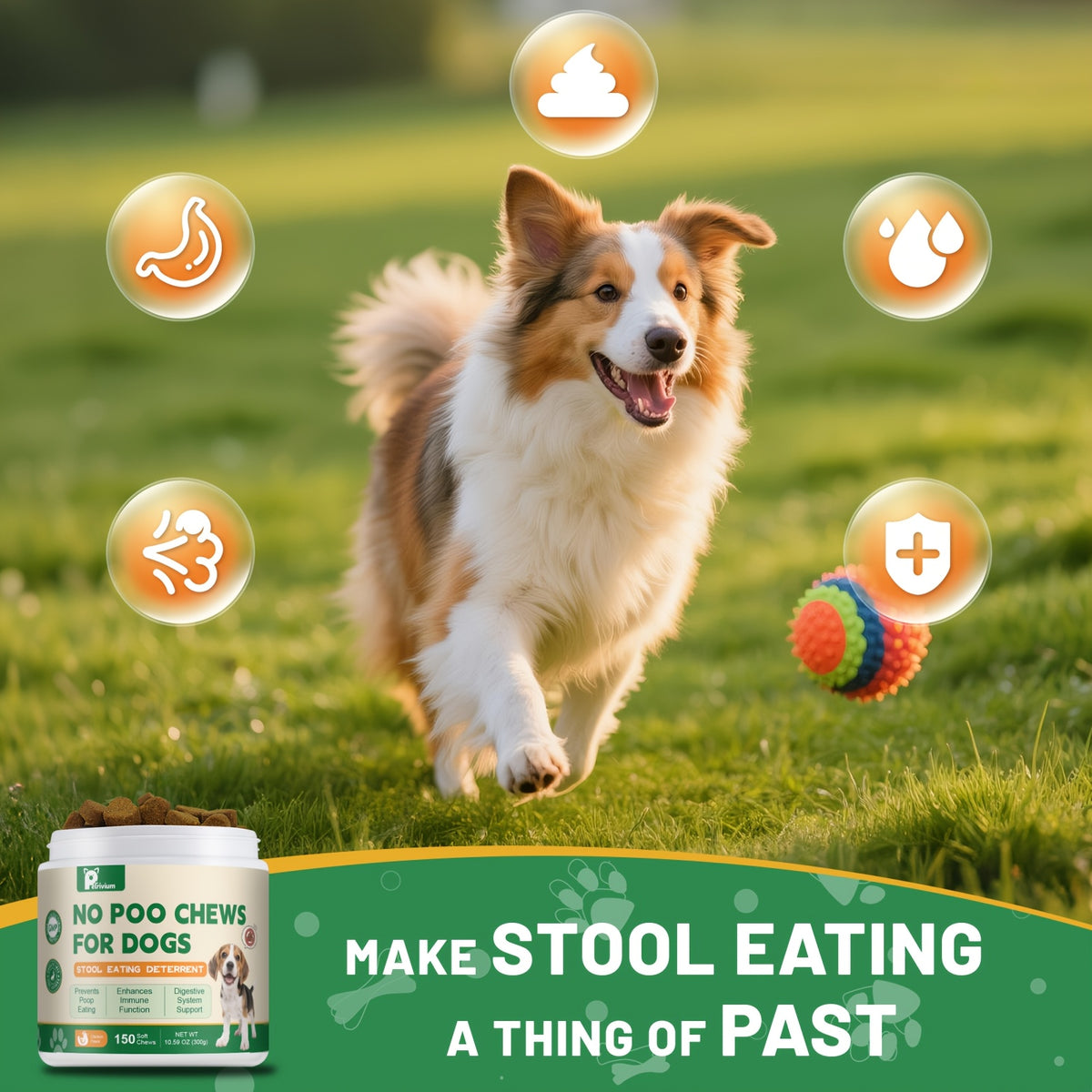 No Poo Chews for Dogs, 150-Count Coprophagia Deterrent Supplement with Probiotics, Digestive Enzymes and Pumpkin Powder, 300g