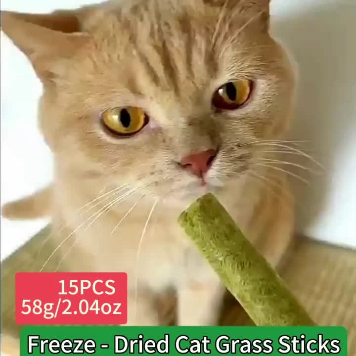 Freeze-Dried Cat Grass Sticks, 15-Piece Cat Treat Pack for Supervised Snack Time, Cat Grass Treats for Cat Owners and Pet Gift Baskets