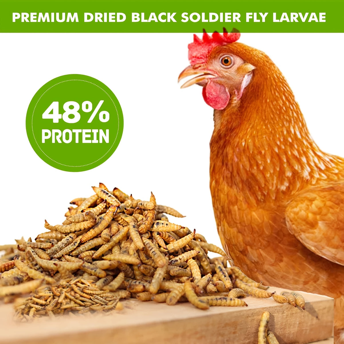 Bulk BSFL Chicken Treats, Dried Black Soldier Fly Larvae in 10, 20 or 30 lb Packs for Backyard Poultry, Supplemental Feeding and Foraging