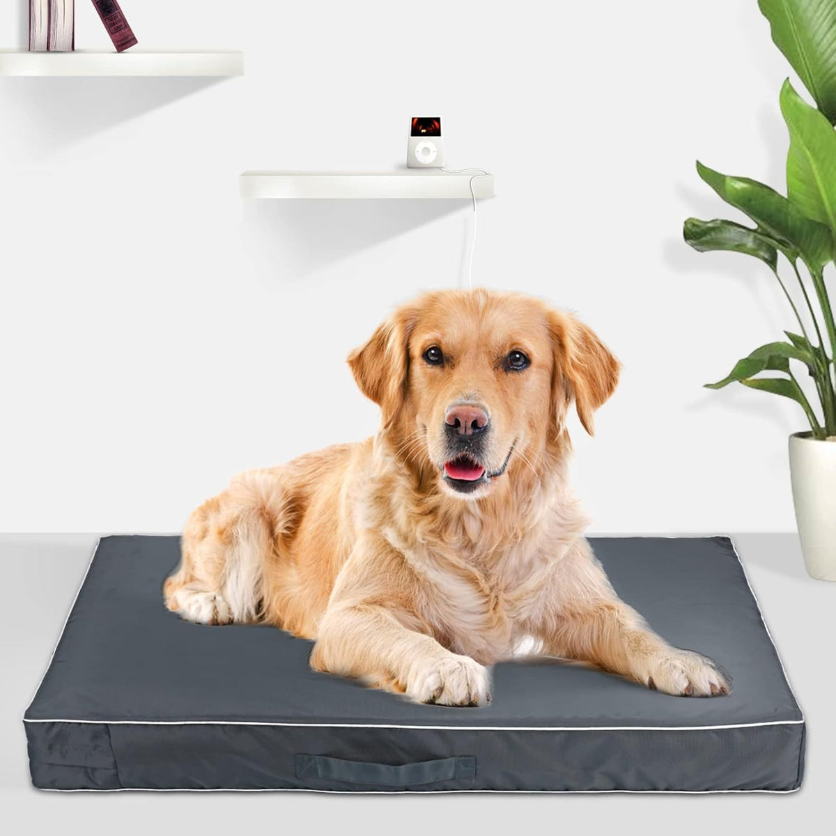 Dog Bed Cushion Cover with Zipper, Soft Washable Water-Repellent Pet Bedding Case in Grey, Black or Navy with Medium to Extra Large Size Options