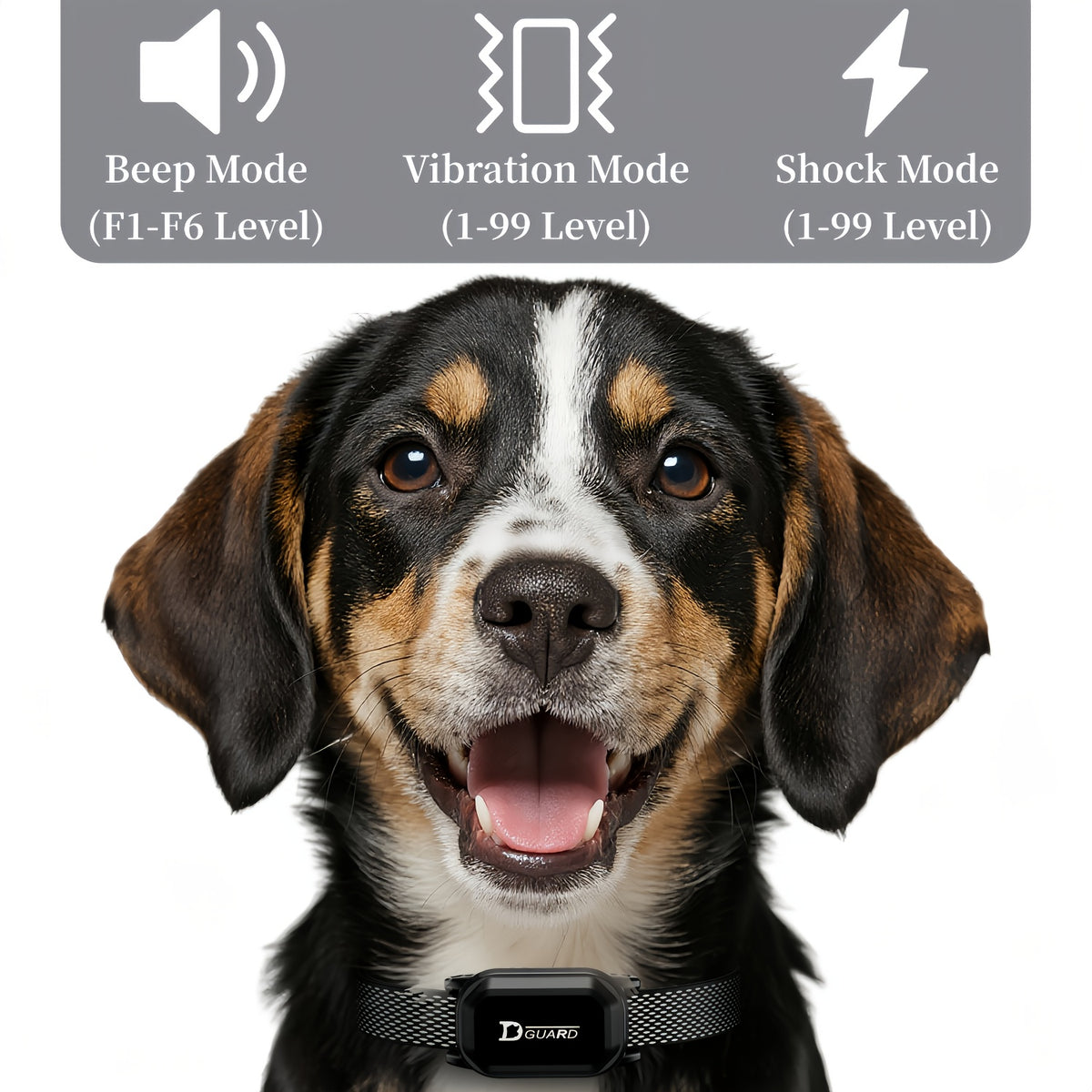 Dog Training Collar D80 with Remote Control, Rechargeable Black Adjustable Nylon Collar with Listed Beep and Vibration Modes for Supervised Single-Dog Sessions
