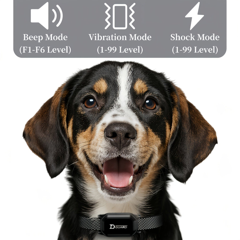 Dog Training Collar D80 with Remote Control, Rechargeable Black Adjustable Nylon Collar with Listed Beep and Vibration Modes for Supervised Single-Dog Sessions