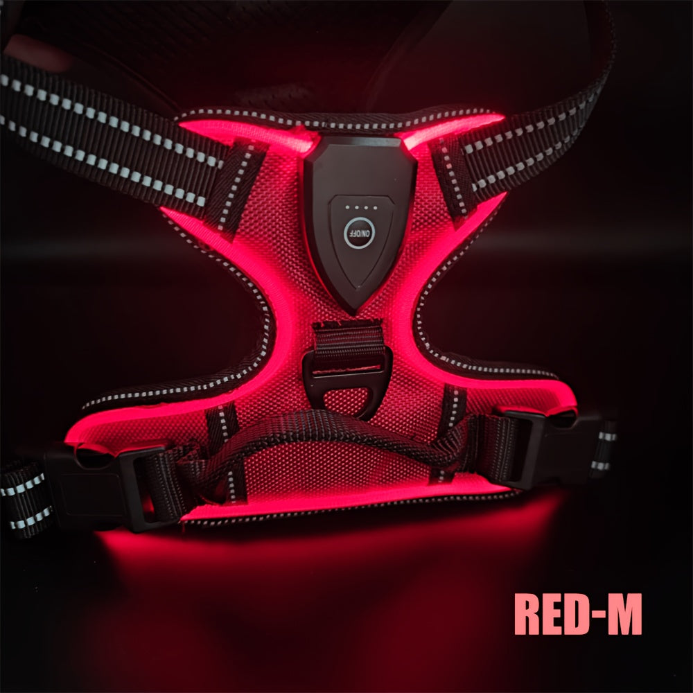 Light Up Dog Harness, Rechargeable LED Night Walking Vest with 3 Lighting Modes, Reflective Strips, Padded Mesh and Adjustable Straps, M L XL