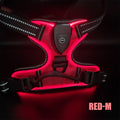 Light Up Dog Harness, Rechargeable LED Night Walking Vest with 3 Lighting Modes, Reflective Strips, Padded Mesh and Adjustable Straps, M L XL