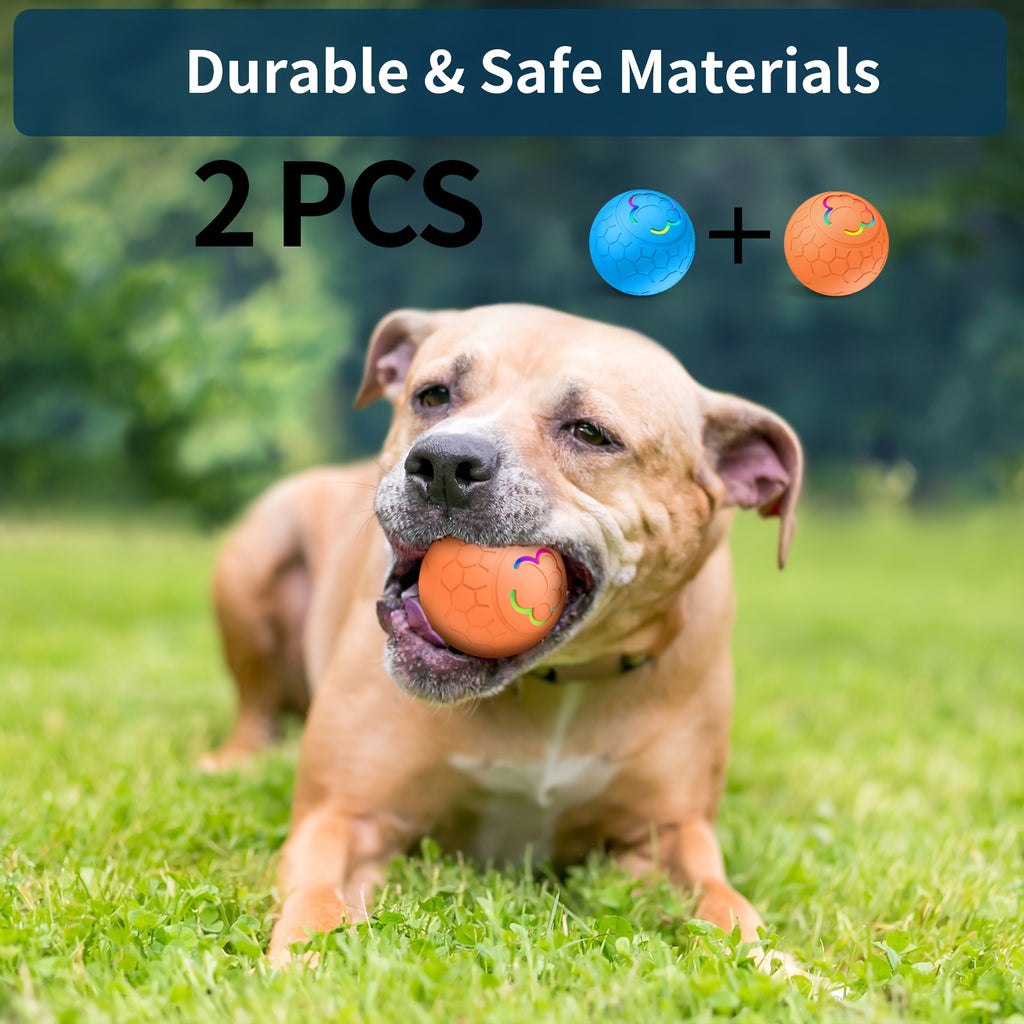 Interactive Pet Balls 2 Pack with Motion Sensor and Flashing Lights, USB Rechargeable Jumping and Rolling Toys for Small Dogs and Cats, Two Modes