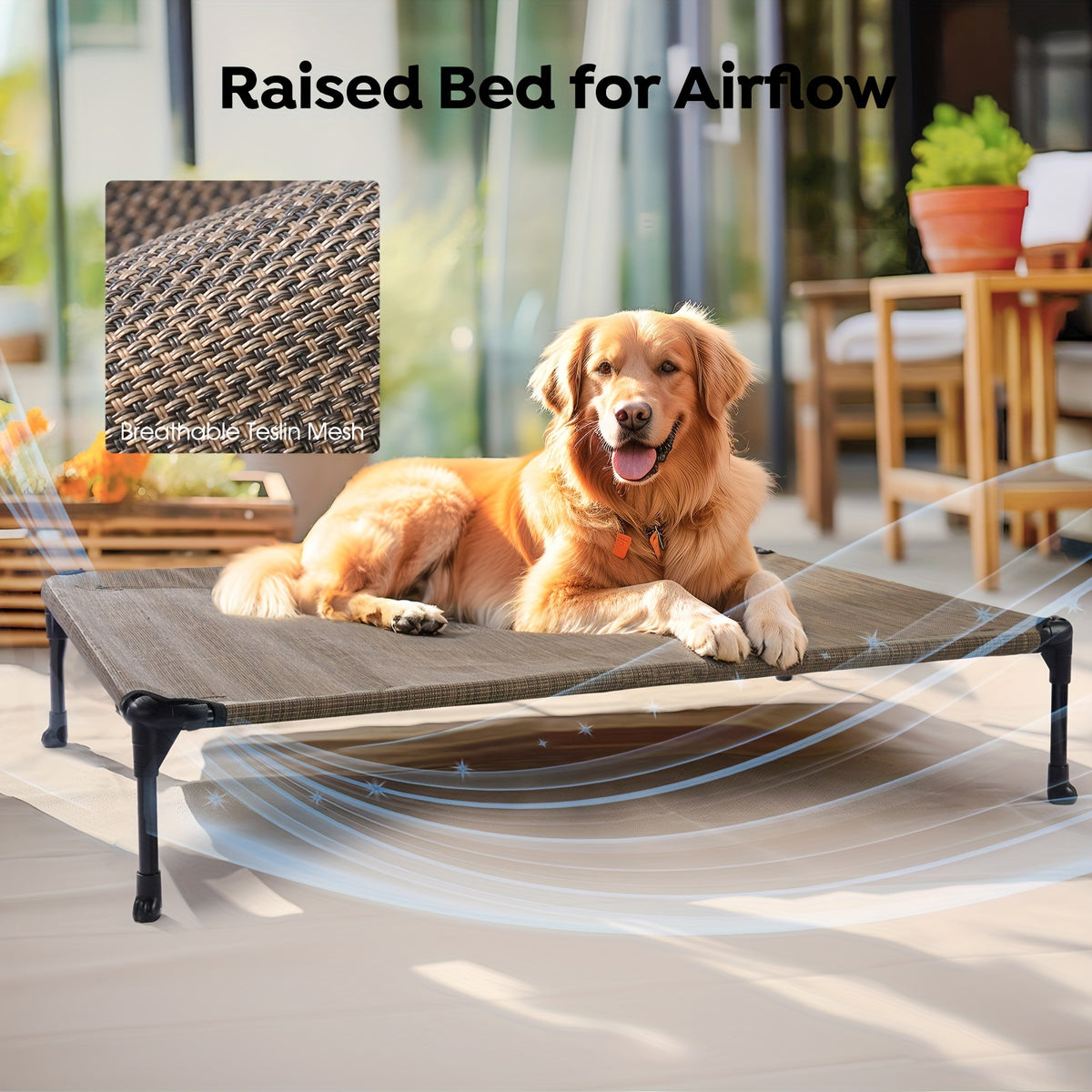 Elevated Dog Bed 2 Pack for Large Dogs, 42 x 30 Inch Breathable Mesh Raised Cots with Non-Slip Feet, Tool-Free Assembly for Indoor, Patio and Camping