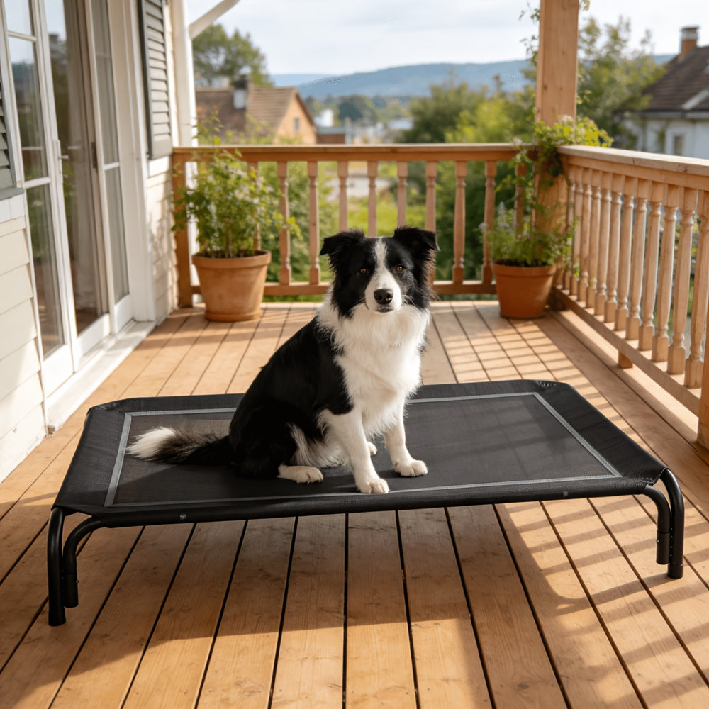 Tool-Free Elevated Dog Bed with Washable Breathable Mesh, 8-Inch Raised Outdoor Dog Cot with Metal Frame and Anti-Slip Feet for Home, Patio and Camping