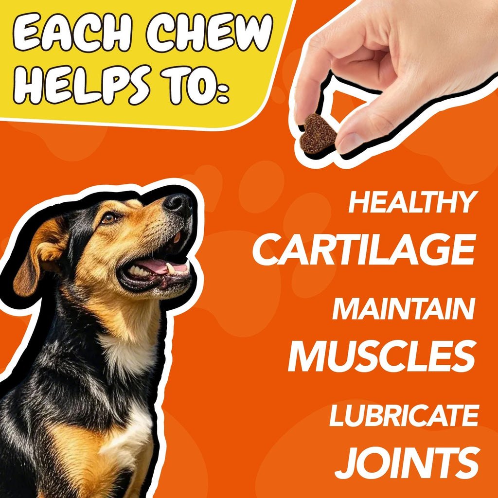 Joint Care Soft Chews for Dogs and Cats, Chicken Flavor with Glucosamine, Chondroitin and Alaskan Salmon Oil, 90 Count, Bottle Options