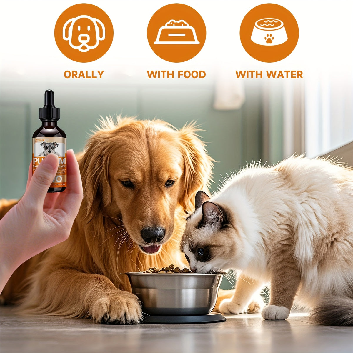 Pet Supplement Drops with Black Walnut and Pumpkin Seed, 2 fl oz Liquid Format with One, Two or Three Bottle Options for Veterinarian-Guided Care