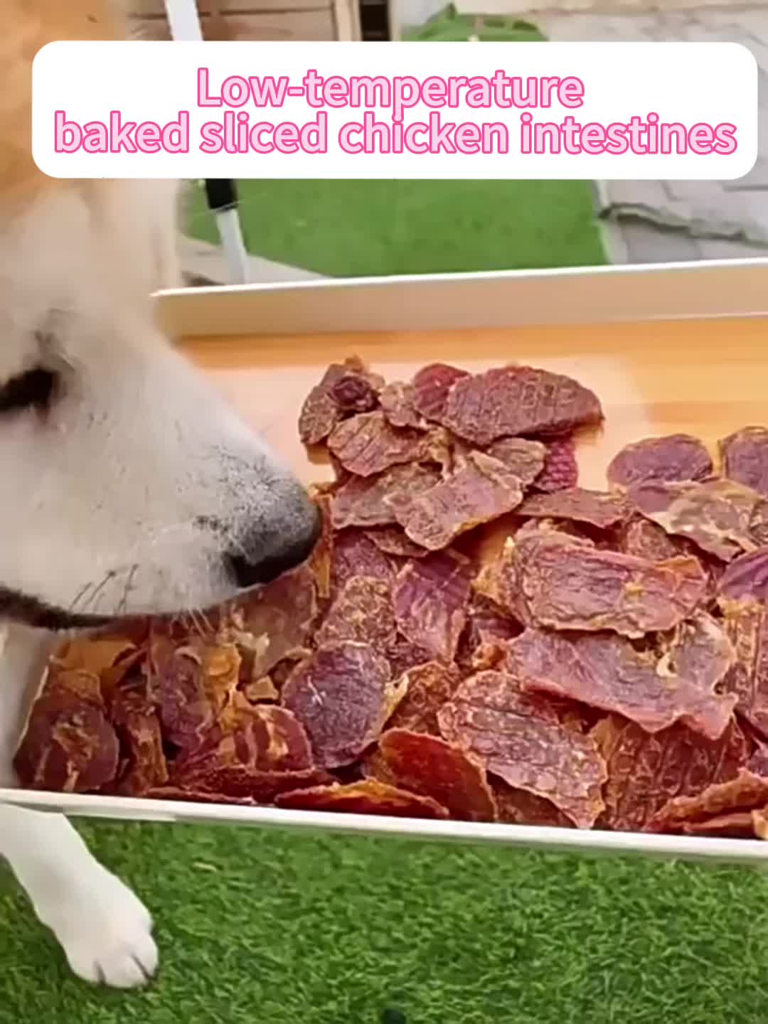Chicken Gizzard Dog Treats, Air-Dried Jerky Slices for Supervised Training Rewards, Everyday Snack Breaks and Dog Owner Gift Baskets