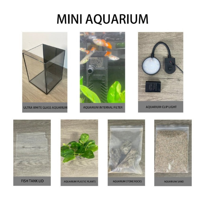 Mini Aquarium Kit 1.19 Gallon, Ultra-Clear Glass Desktop Tank with 2W Submersible Pump, 3W COB Light, Sand, Stones and Decorative Plants