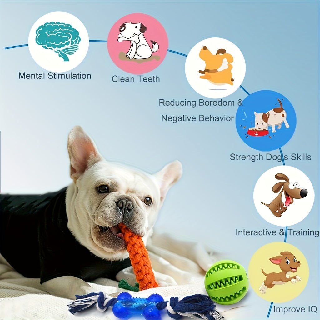 Dog Chew Toy Variety Bundle, Random 3 or 6 Piece Assortment for Puppy Playtime, Interactive Chewing and Supervised Everyday Toy Rotation