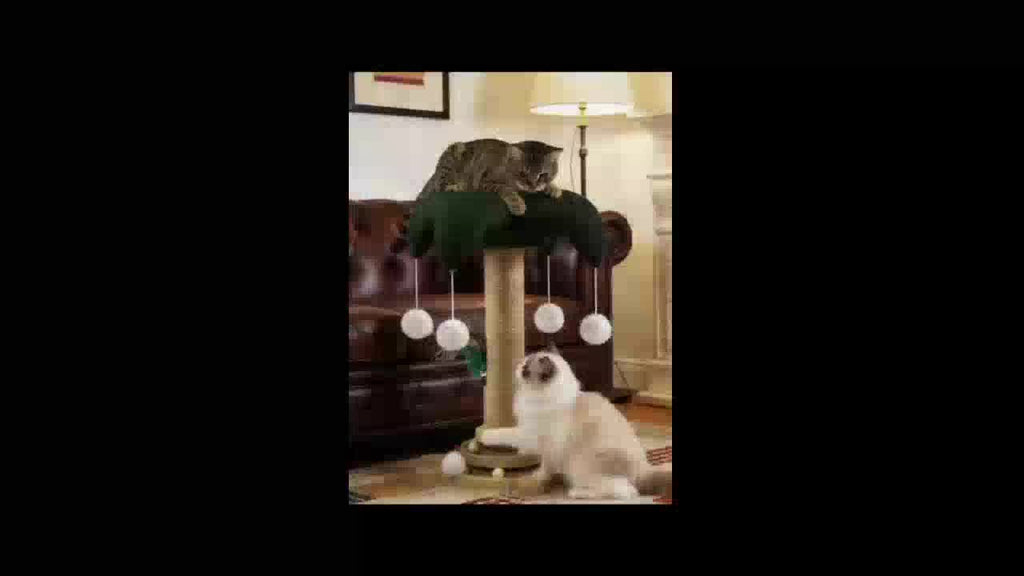 Sisal Cat Scratching Post with Clown Hat Design, Vertical Indoor Cat Scratcher with Random-Color Teaser Stick in Green or Dark Green
