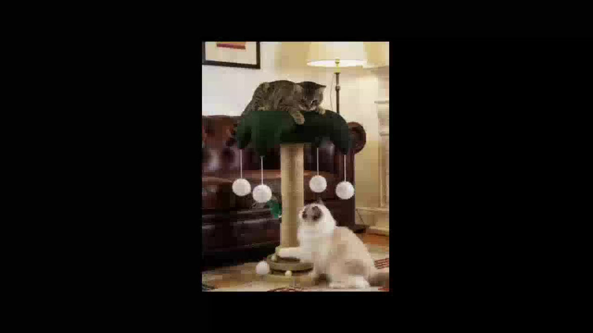 Sisal Cat Scratching Post with Clown Hat Design, Vertical Indoor Cat Scratcher with Random-Color Teaser Stick in Green or Dark Green