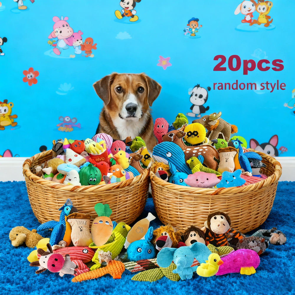 Dog Toy Assortment Box 20 Pieces, Random Chew and Squeaky Toy Mix for Small and Medium Dogs, Supervised Puppy Fetch and Tug Play