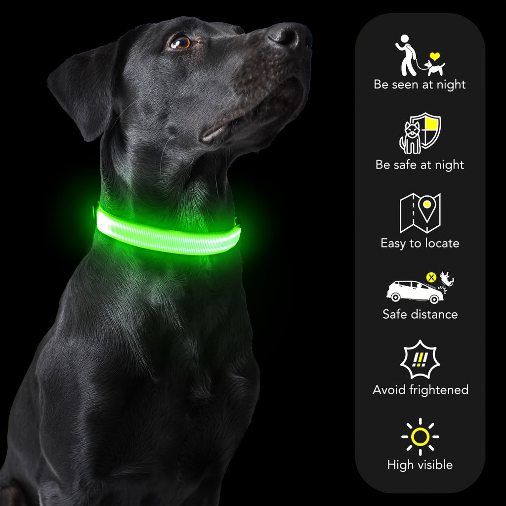 Light Up Dog Collar with 4 Bells, Micro USB Rechargeable LED Nylon Pet Collar with Adjustable Fit, Plastic Buckle and D-Ring for Night Walks