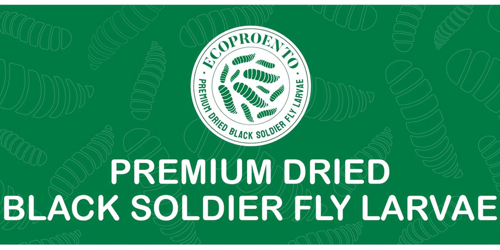 Black Soldier Fly Grubs 10 lb, Dried Larvae Chicken Treats for Backyard Flocks, Ducks and Wild Birds, Bulk Insect Snacks for Foraging Routines