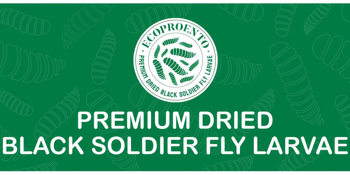 Black Soldier Fly Grubs 10 lb, Dried Larvae Chicken Treats for Backyard Flocks, Ducks and Wild Birds, Bulk Insect Snacks for Foraging Routines