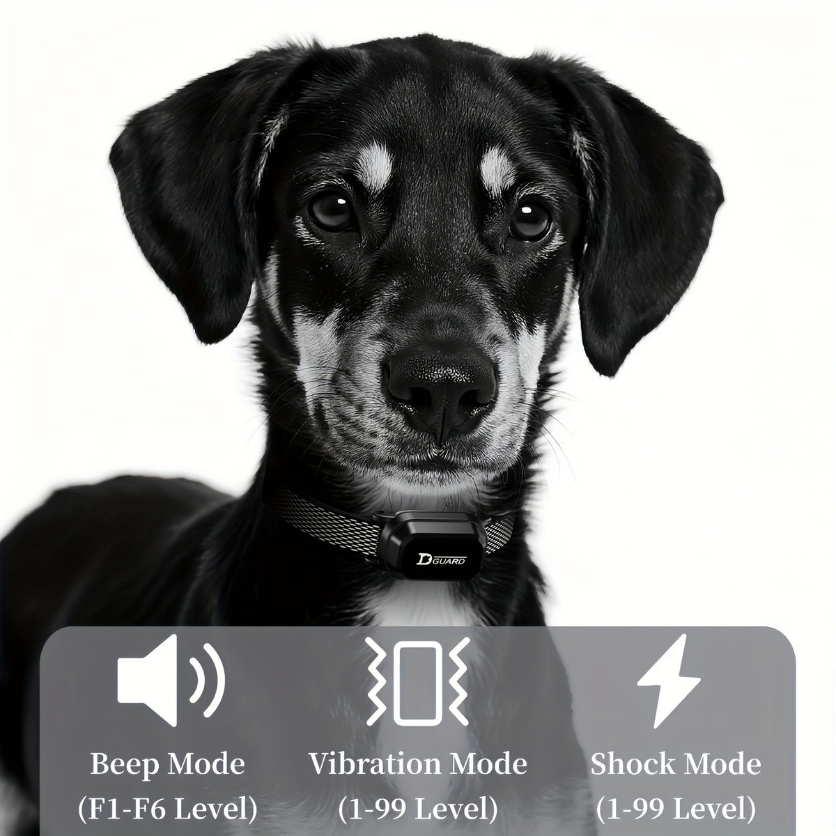 D80-1 Dog Training Collar with Digital Remote, Rechargeable Black Adjustable Nylon Collar with Listed Beep and Vibration Functions for Supervised Sessions