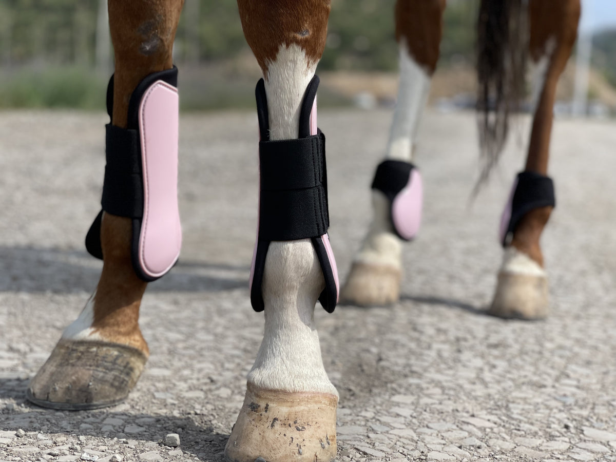 Horse Tendon Boots Set of 4, Open Front and Fetlock Leg Guards in PU and Neoprene for Riding, Jumping and Training, FULL and COB Size Options