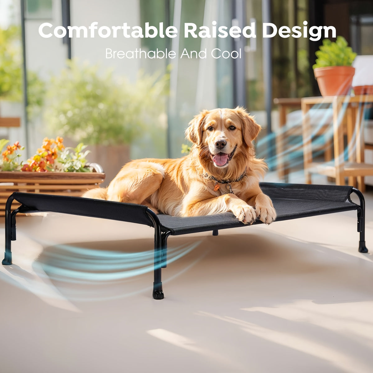 Elevated Dog Bed with Sloped Headrest, Breathable Raised Pet Cot in M to XXL Sizes for Indoor Lounging, Outdoor Rest and Camping