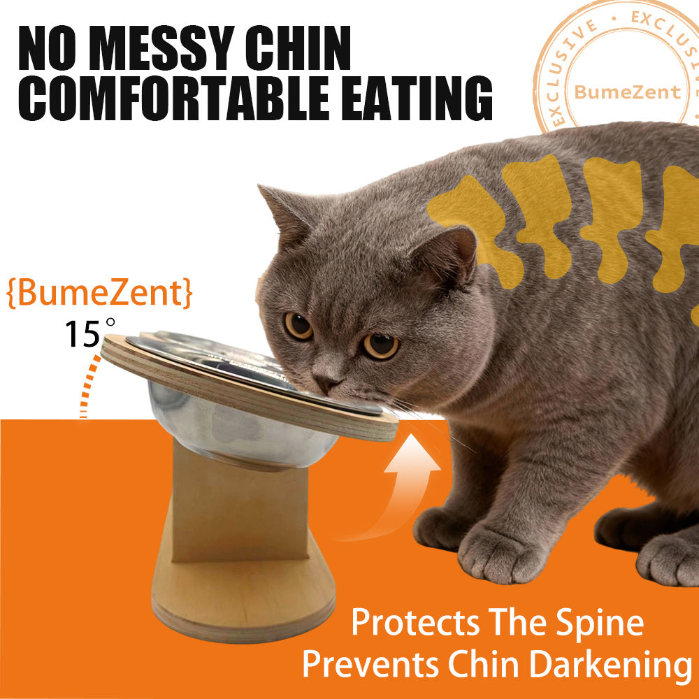 Elevated Cat Bowl Set with Spoon Option, Stainless Steel Food and Water Bowls on Stand for Cats, Kittens, Puppies and Small Pets at Home