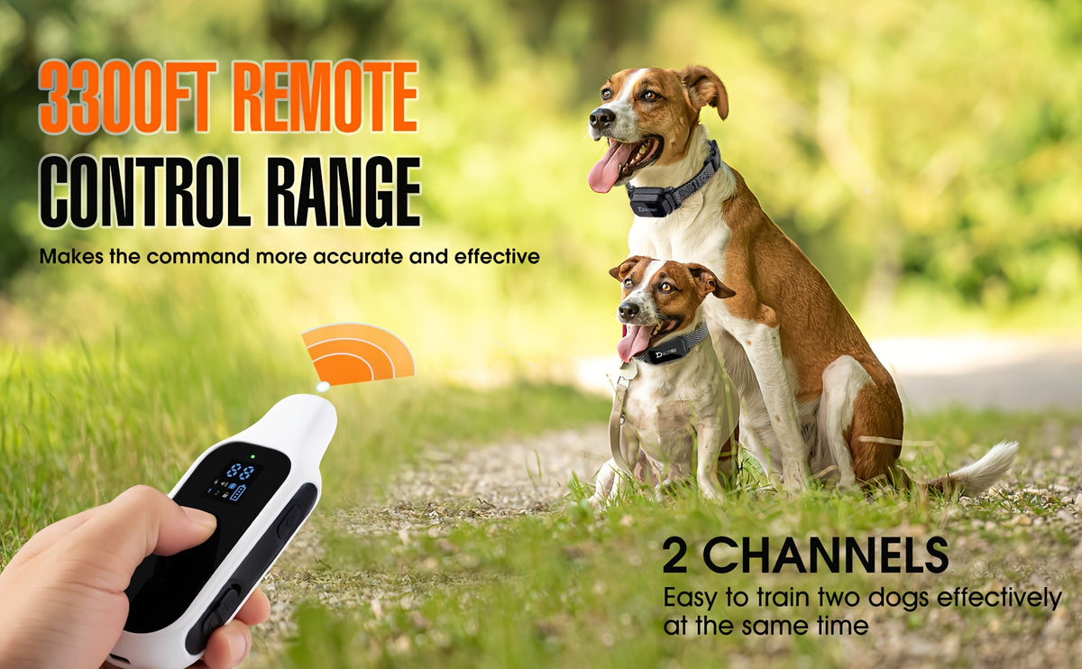 D80-1 Dog Training Collar with Digital Remote, Rechargeable Black Adjustable Nylon Collar with Listed Beep and Vibration Functions for Supervised Sessions
