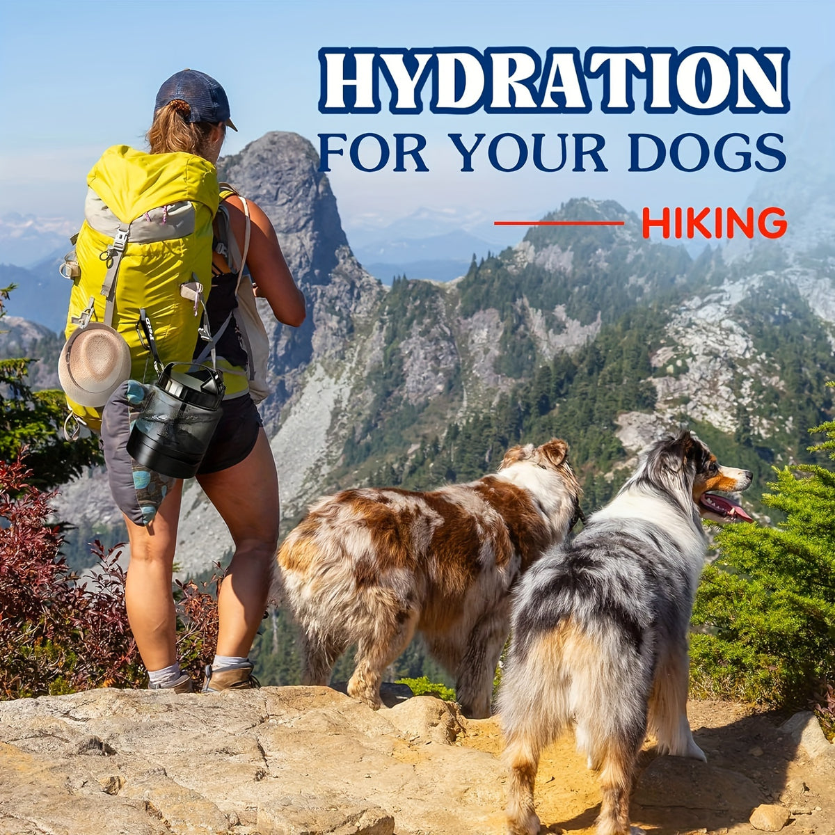 Large Capacity Dog Water Bottle, 54 oz BPA-Free Portable Pet Water Dispenser in Black for Hiking, Camping, Road Trips and Dog Park Visits