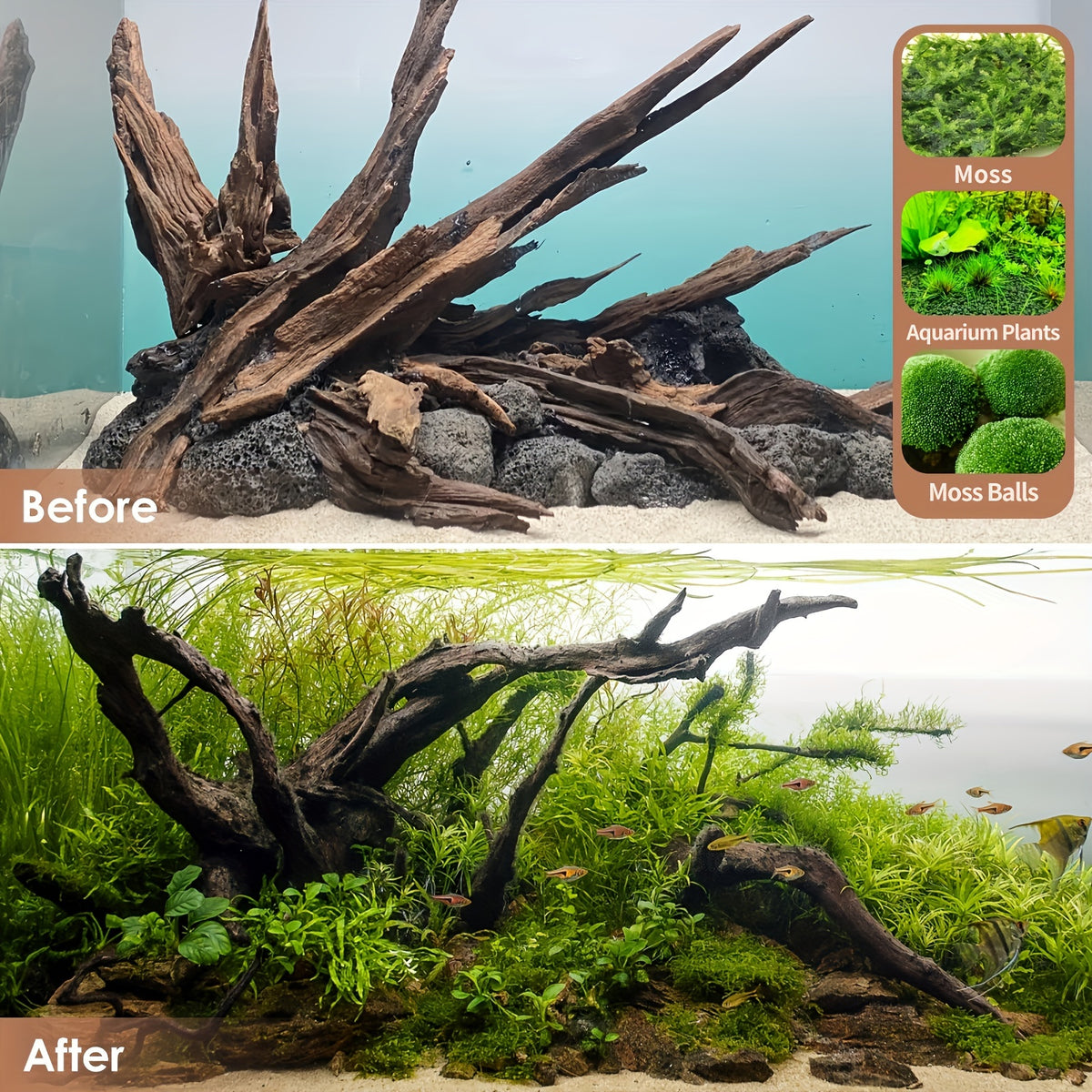 Aquarium Driftwood 2-Pack, 9-14 Inch Natural Wood Branches for Fish Tank Aquascaping, Reptile Terrarium Decor and Habitat Layouts