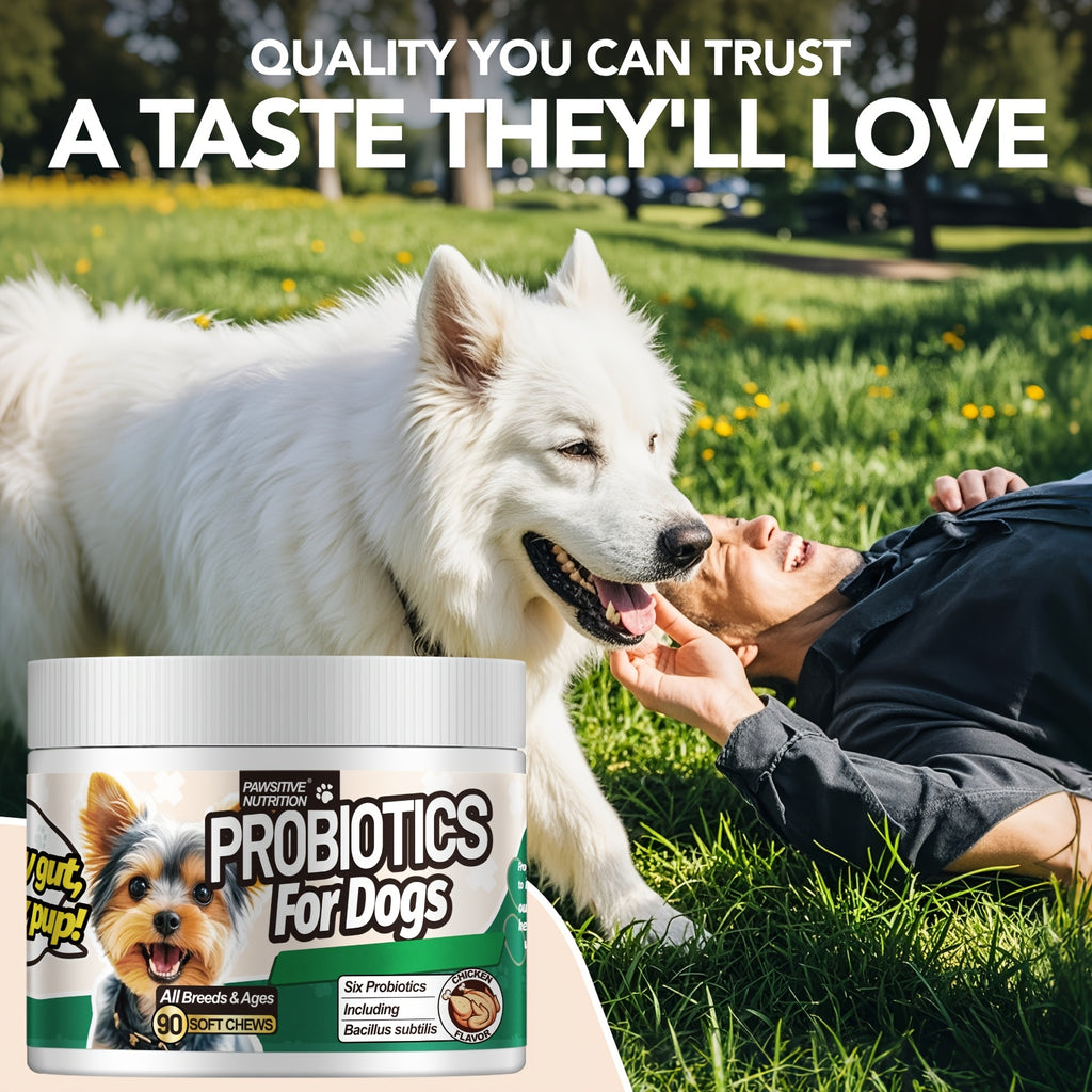 Dog Probiotic Soft Chews 90 Count, Chicken Flavor Six-Strain Formula with Prebiotics for Daily Digestive Support and Canine Gut Care