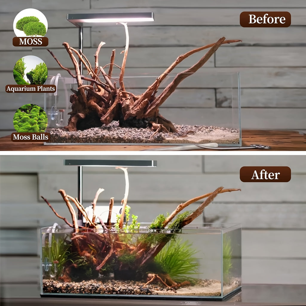 Aquarium Driftwood 5-Piece Assorted Branch Set, Natural Wood Decor for Fish Tank Aquascaping, Shrimp Habitat Layouts and Reptile Enclosures