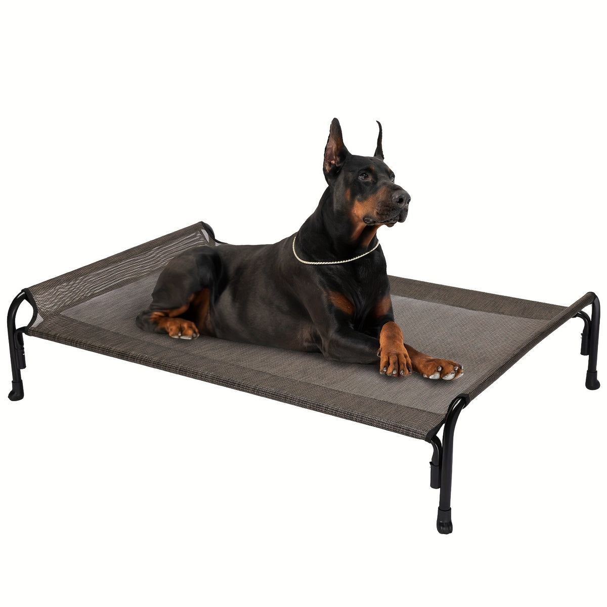 Elevated Dog Bed with Sloped Headrest, Breathable Raised Pet Cot in M to XXL Sizes for Indoor Lounging, Outdoor Rest and Camping