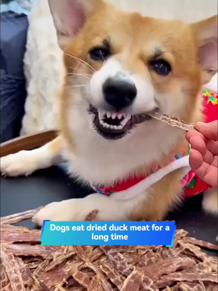 Chicken and Duck Jerky Dog Treats Mixed Pack, Air-Dried Breast Meat Strips for Supervised Training Rewards and Everyday Snack Time