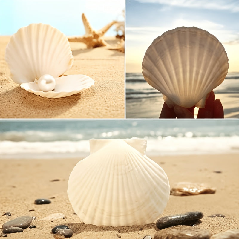 Natural Scallop Shells for Crafts, 18 Large White Seashells, 3.2–3.6 Inches, for DIY Painting, Coastal Table Decor and Beach Weddings